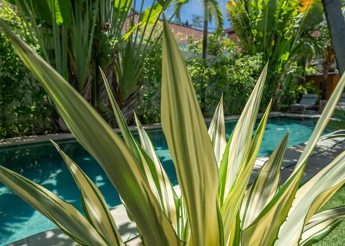 Villa Teman - Luxury 4br In - Huge Pool *